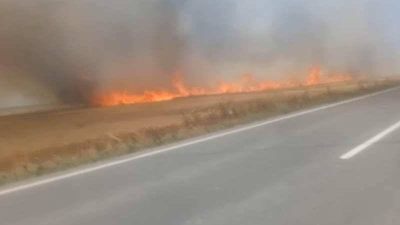 Tekirdağ’da 180 dönüm ekili buğday yandı: 3 kişi dumandan etkilendi